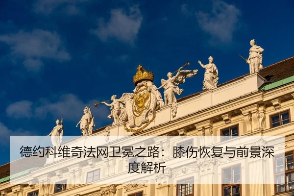 de-yue-ke-wei-qi-fa-wang-wei-mian-zhi-lu-xi-shang-hui-fu-yu-qian-jing-shen-du-jie-xi-3-721.jpg