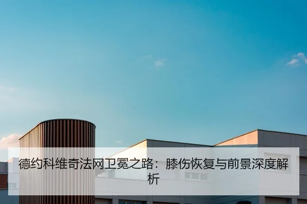 德约科维奇法网卫冕之路：膝伤恢复与前景深度解析