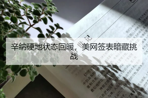 xin-na-ying-di-zhuang-tai-hui-nuan-mei-wang-qian-biao-an-cang-tiao-zhan-2-254.jpg